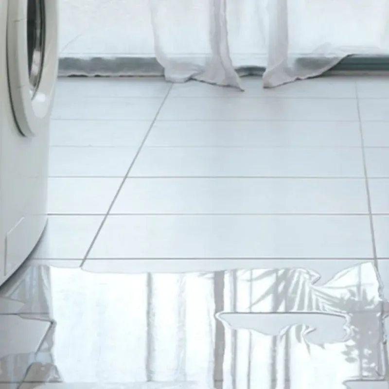 Appliance Leak Cleanup in Coleraine, MN