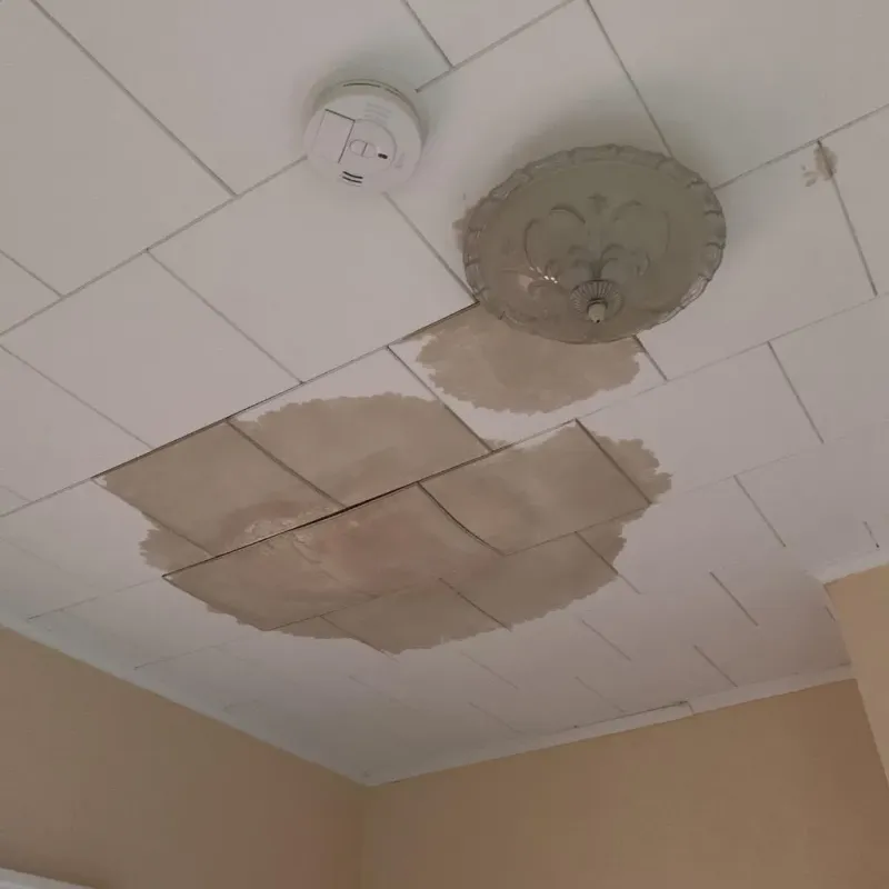 Ceiling Water Damage Repair in Coleraine, MN